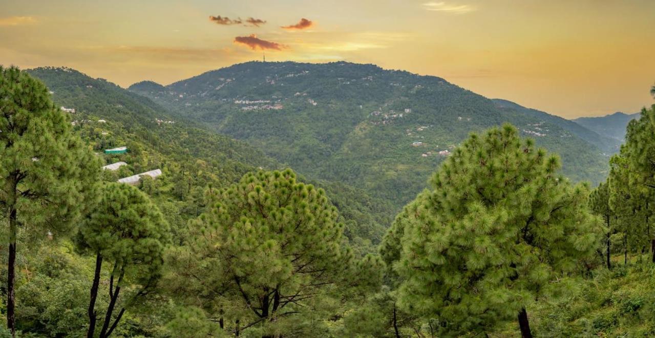 The Western Heights I Serviced Apartments I Pvt Balcony I Lift I Peacefull Area I Family Accomodation I Kasauli I By Exotic Stays Exterior foto